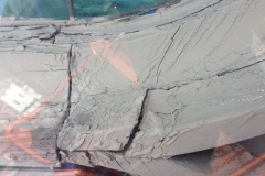 13320335_1728161837426348_429438945999205148_o